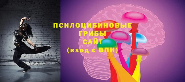ПСИЛОЦИБИНОВЫЕ ГРИБЫ Пестово