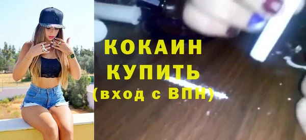 винт Пересвет