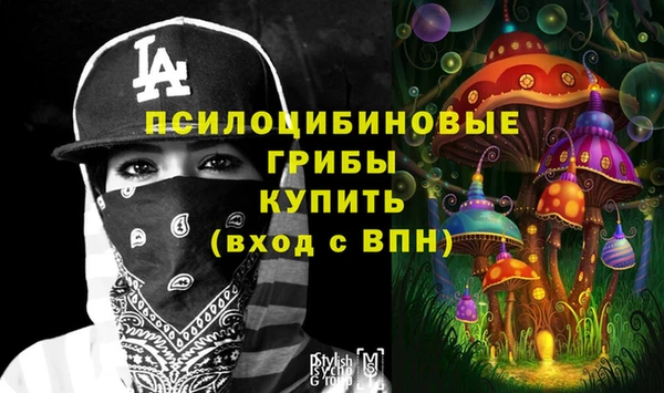 винт Пересвет