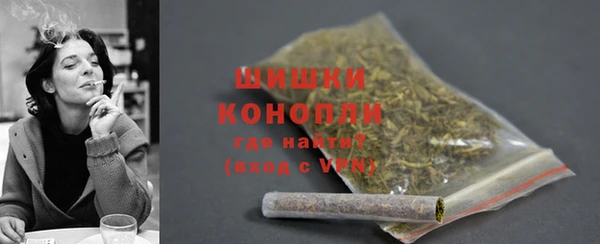 винт Пересвет