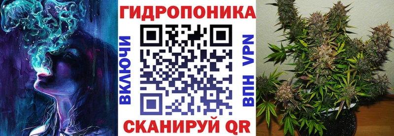 Шишки марихуана сатива  Багратионовск 